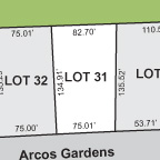 Lot 31