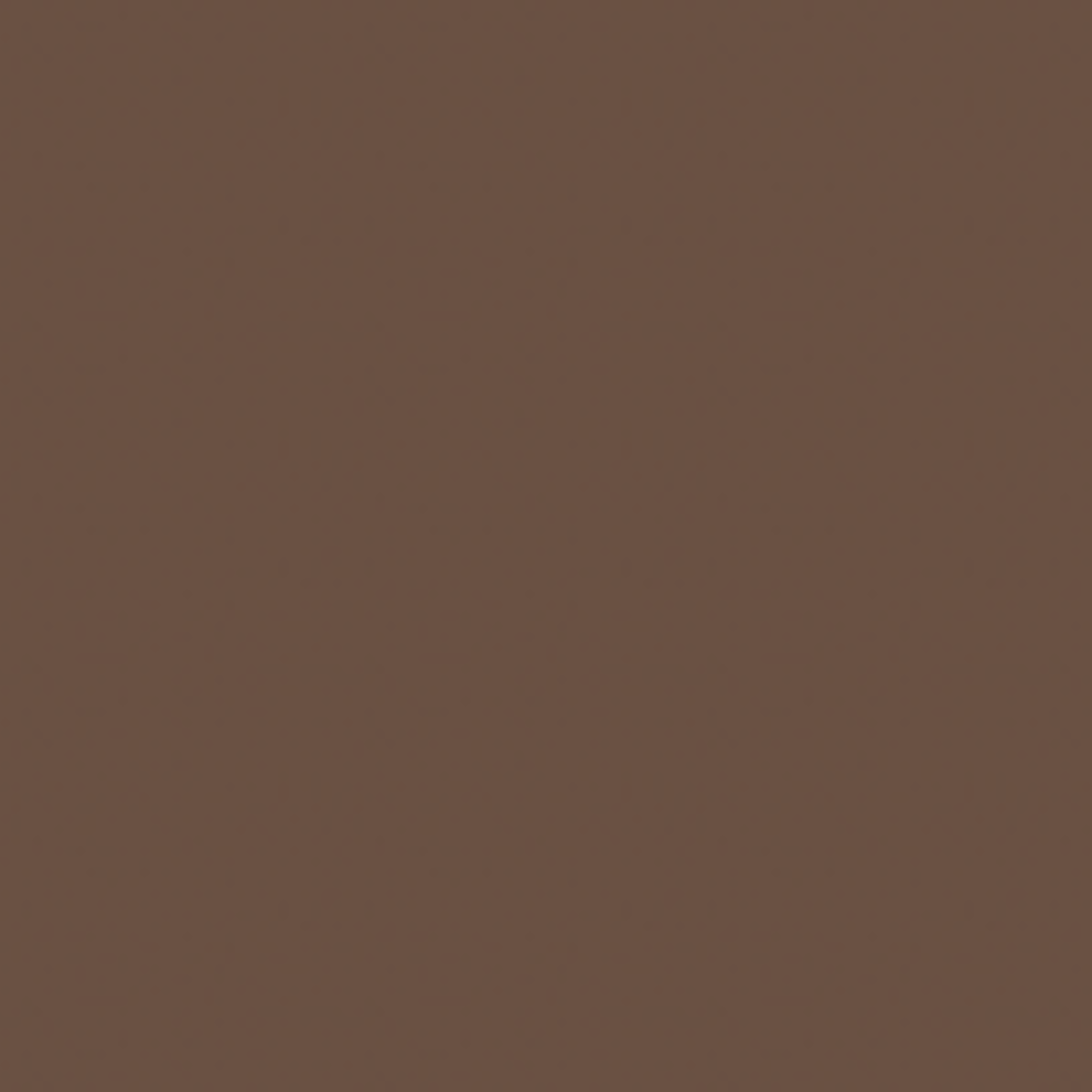 Dark Brown Paint